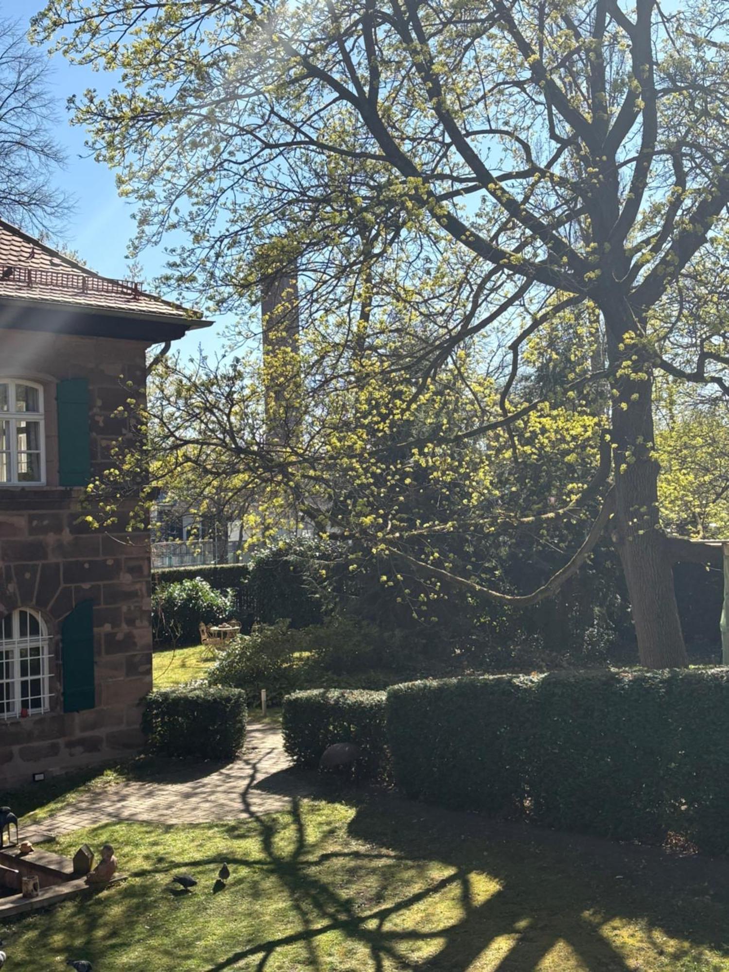 Forsthaus Zu Lichtenhof 纽伦堡 外观 照片